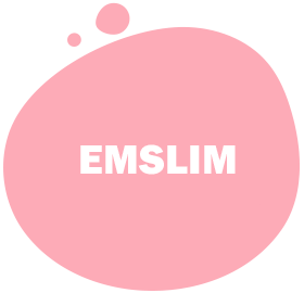 https://www.nisantasilazer.com/wp-content/uploads/2023/07/emslim.png